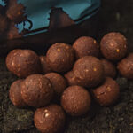 boilies octo squid