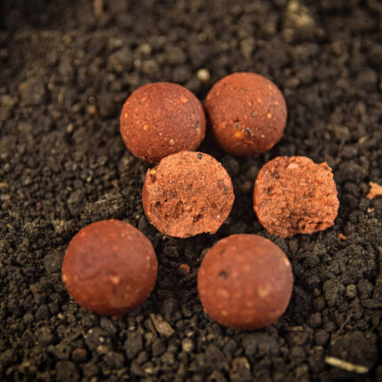boilies fiert red crab 20mm